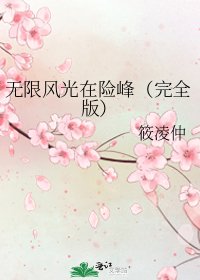 无限风光在险峰(完全版)